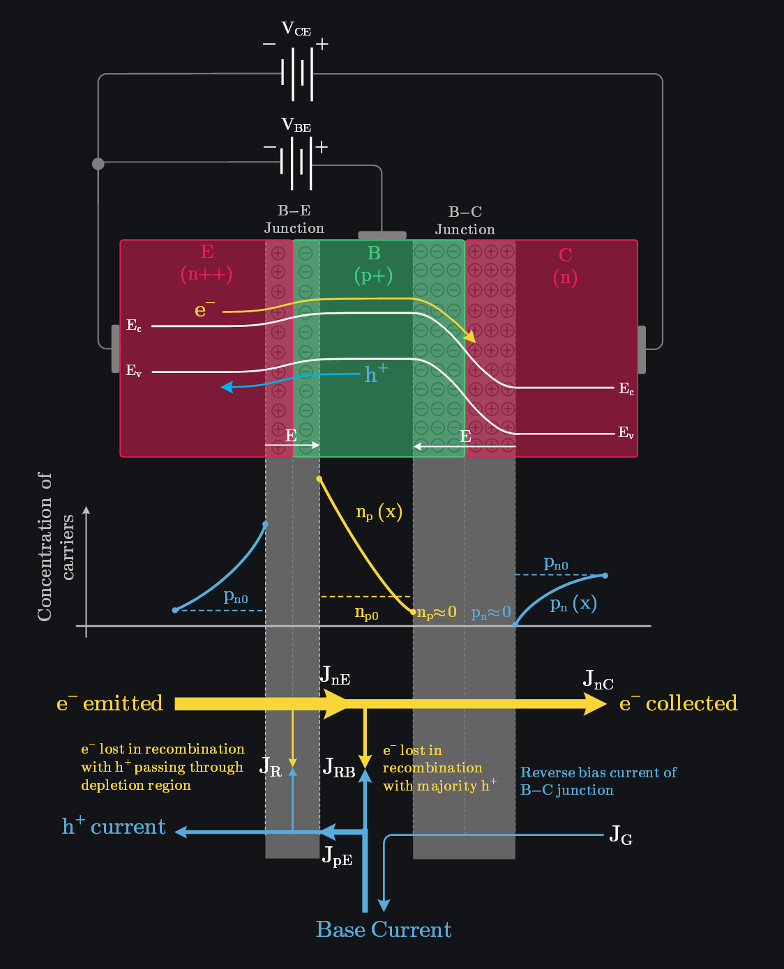 diagram showing different components of current flow in BJT